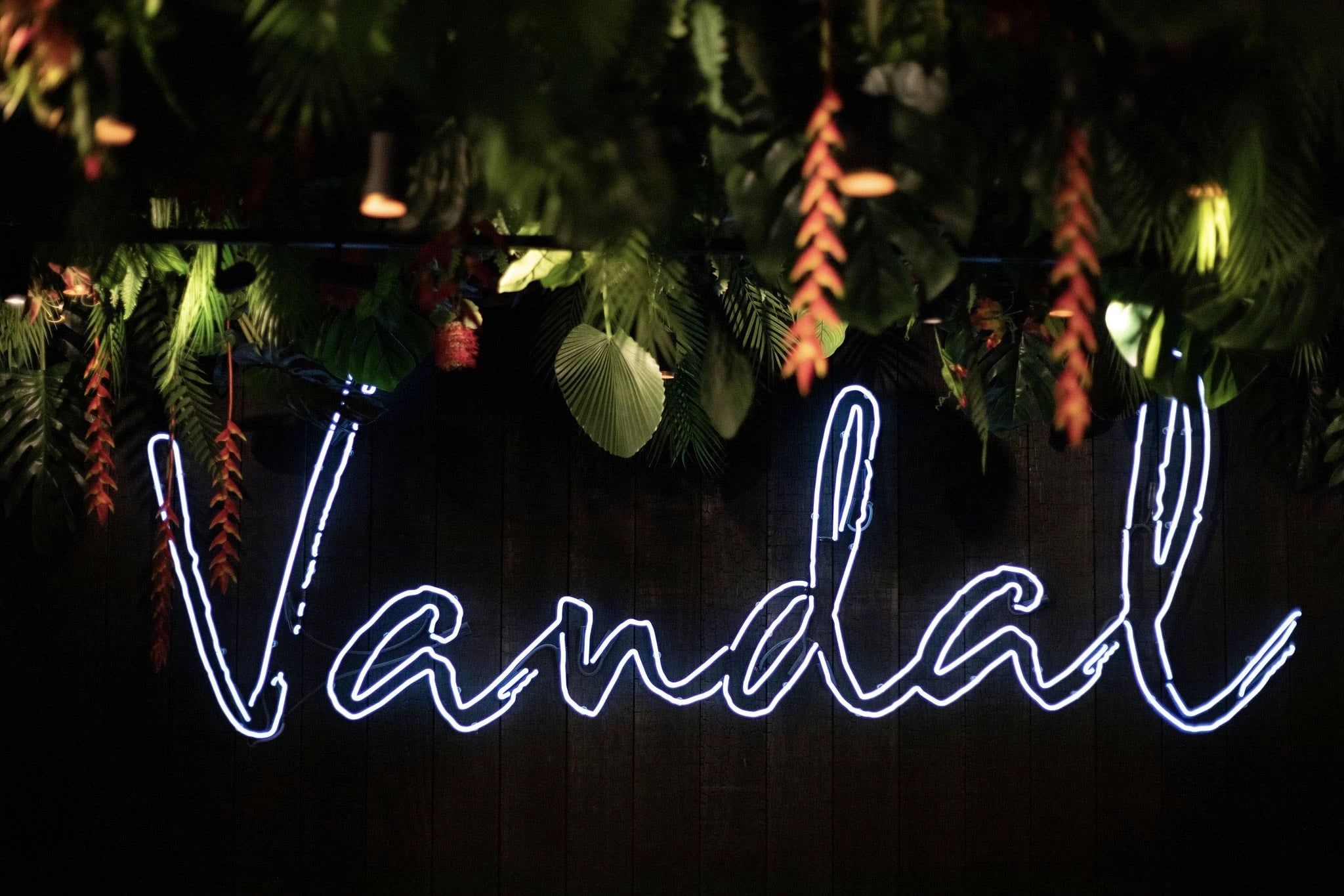 Neonletters Vandal onder een plafond van tropische planten